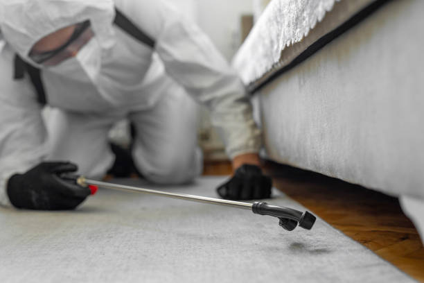 Professional Termite Control technician working in Hammond, LA