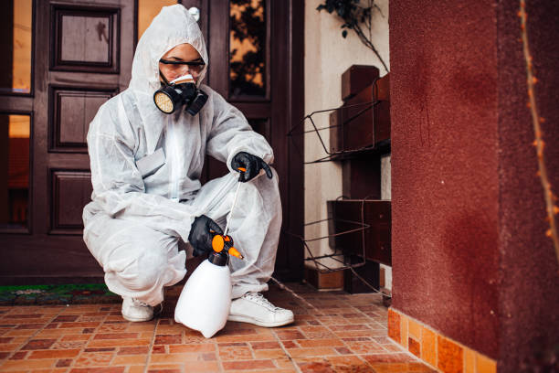 Reliable Termite Control contractor in Hammond, LA by Nex Pest Control